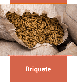 Briquete
